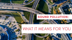 Sound Pollution: What it means for you